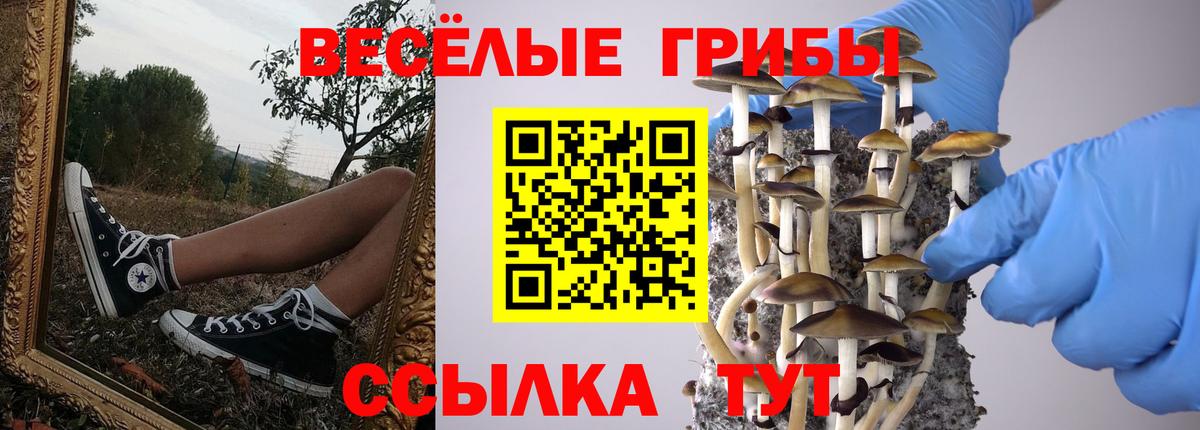 Галлюциногенные грибы мухоморы Железноводск