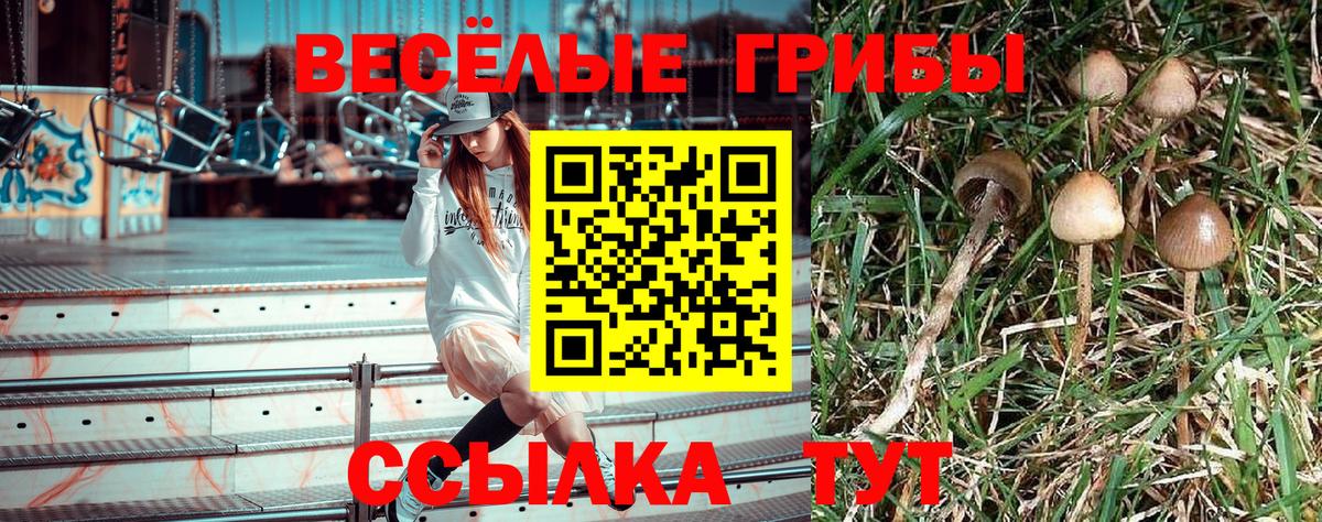 Железноводск  Галлюциногенные грибы Psilocybe  Псилоцибиновые грибы Magic Shrooms  Вход с VPN 